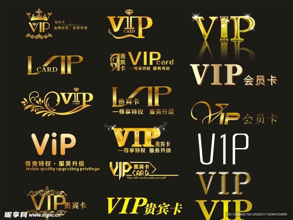 VIP会员