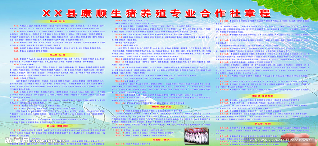 养殖专业合作社章程