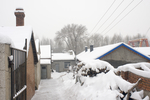 雪景