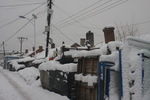 哈尔滨雪乡一角