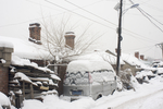 雪乡