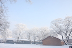 东北美丽雪景
