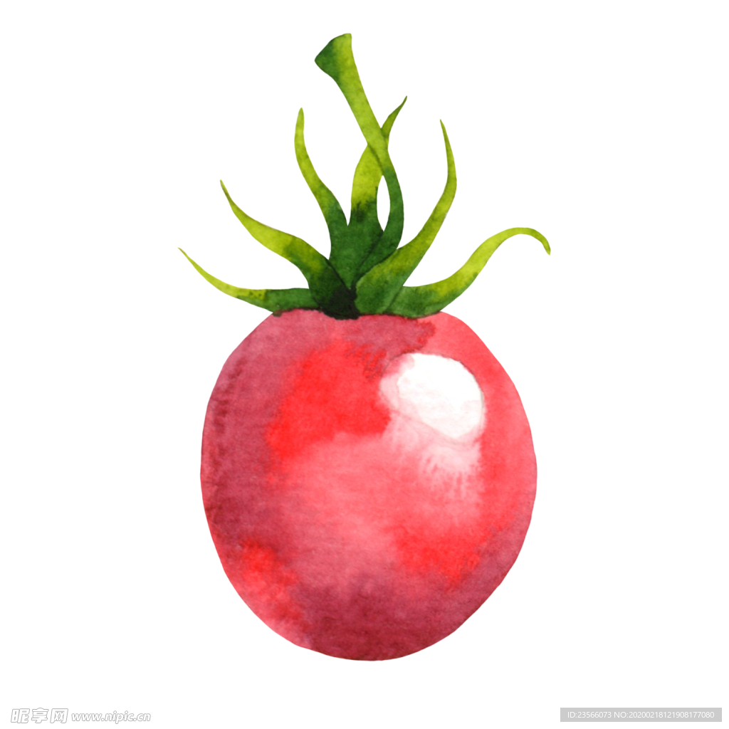 水彩创意插画水果蔬菜
