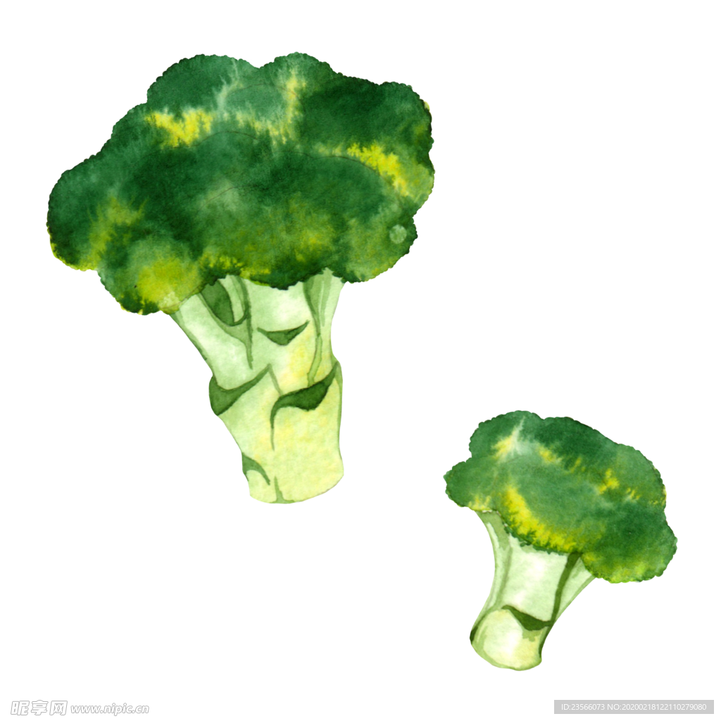 水彩创意插画水果蔬菜