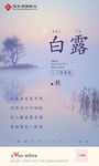 白露