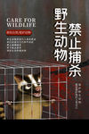 禁止捕杀野生动物