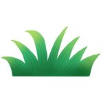手绘草