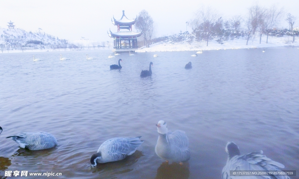 广平县东湖公园