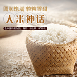 淘宝宝贝主图
