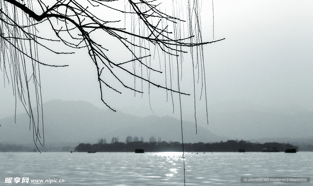 湖面上干枝（非高清）