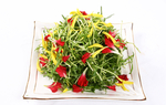 草尖吻鲜花
