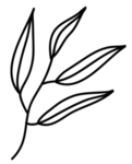 黑白手绘植物