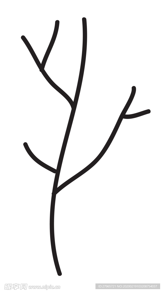 黑白手绘植物