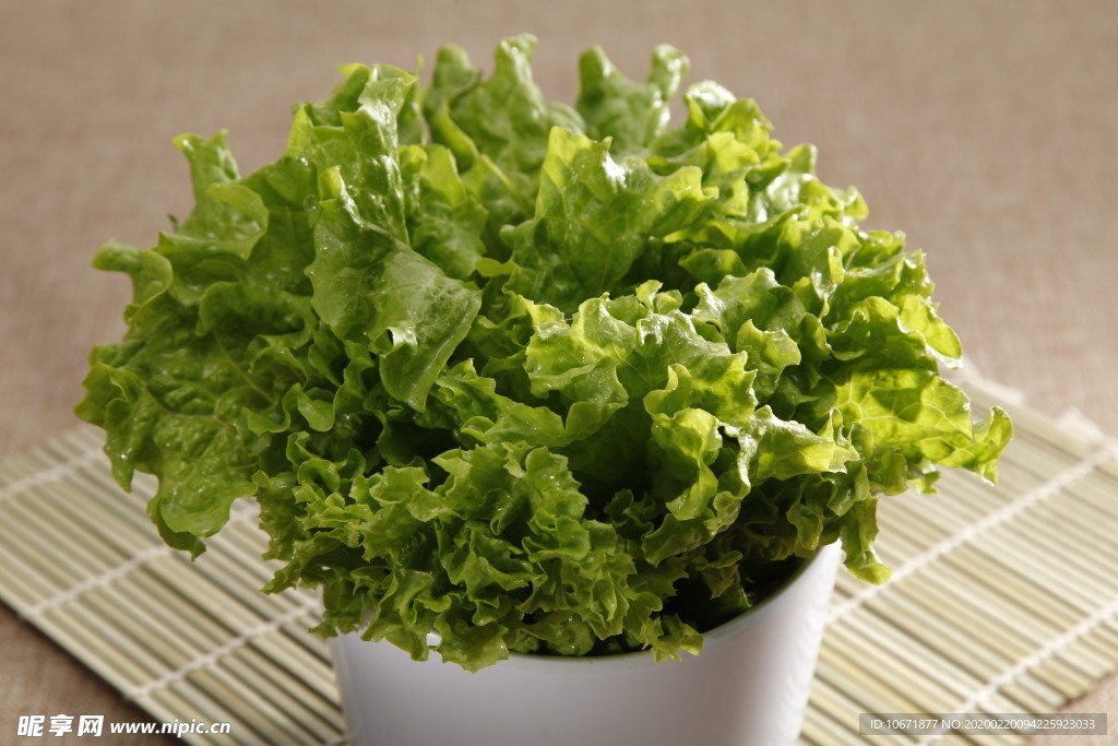 生菜