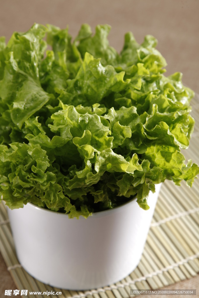 生菜