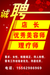 招聘 诚聘