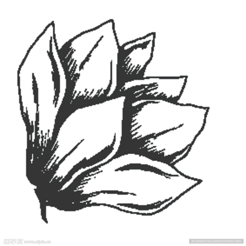 简笔绘画植物花朵图谱