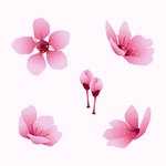 粉色桃花创意图案