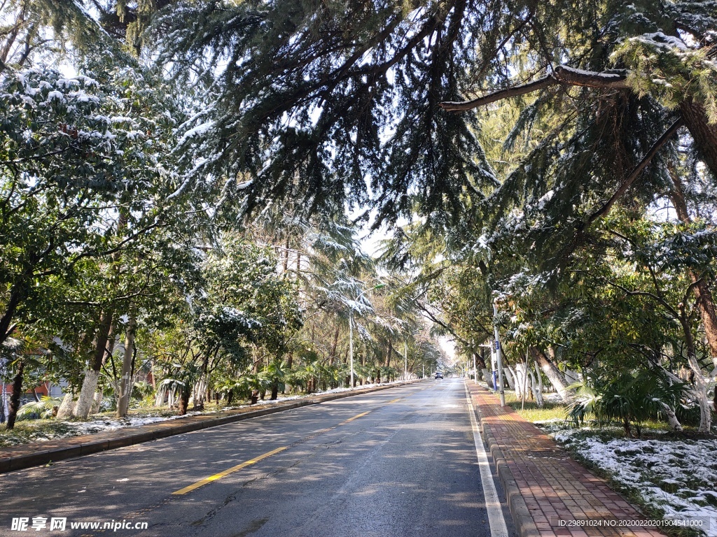 道路