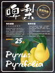 果蔬海报
