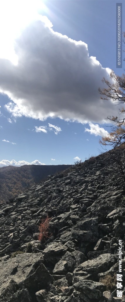 阿尔山风景