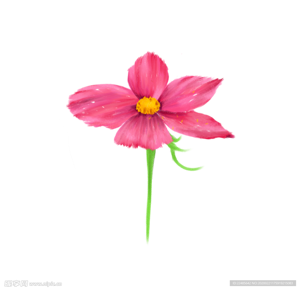 手绘格桑花