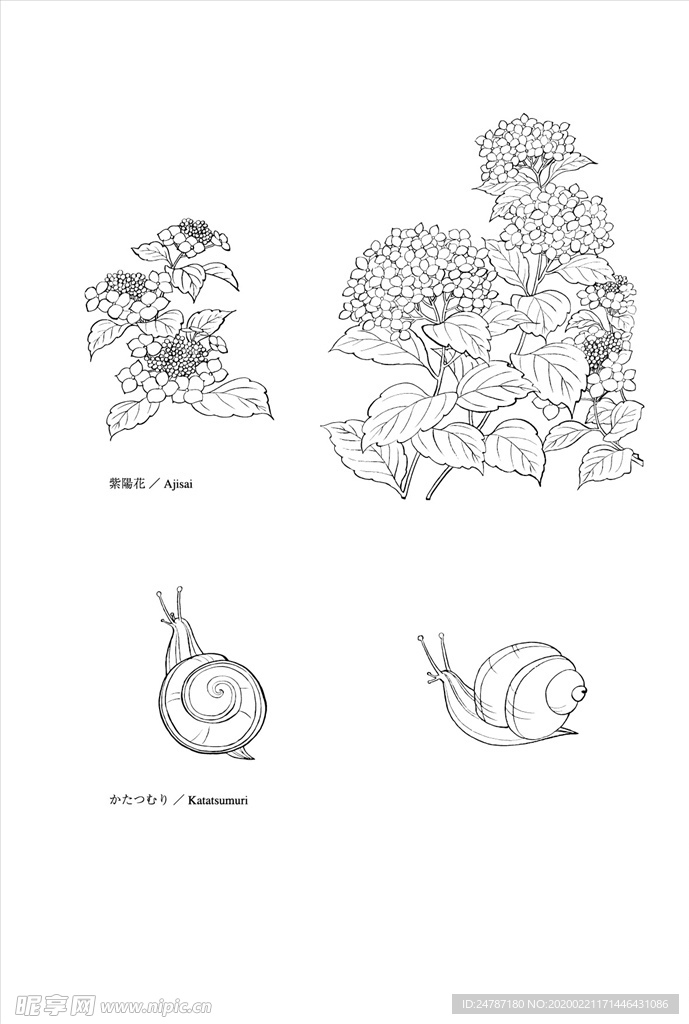 线描花朵