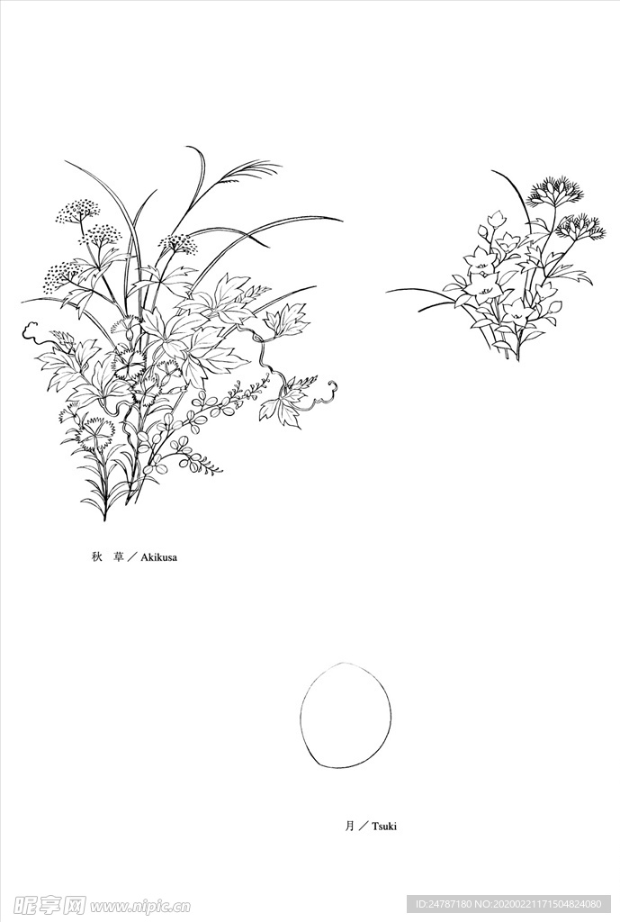 线描花朵
