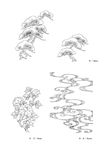 线描花朵