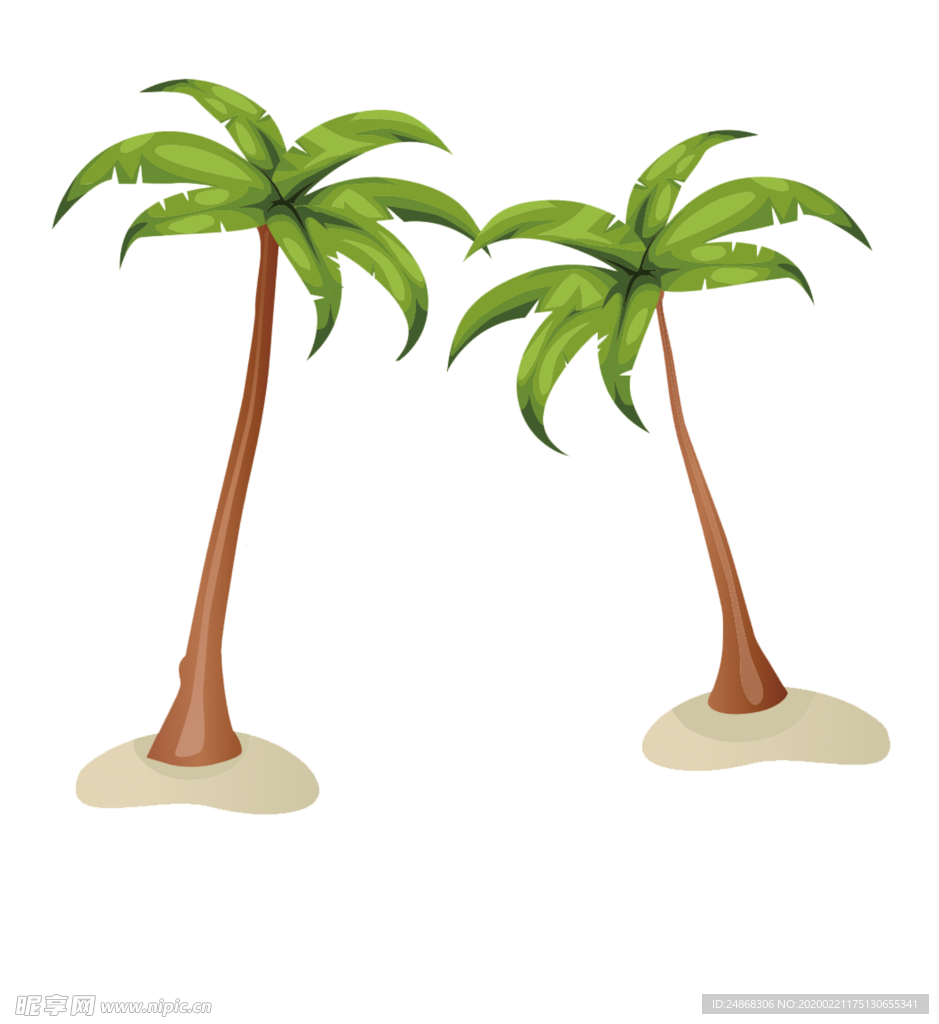 椰树树木热带树