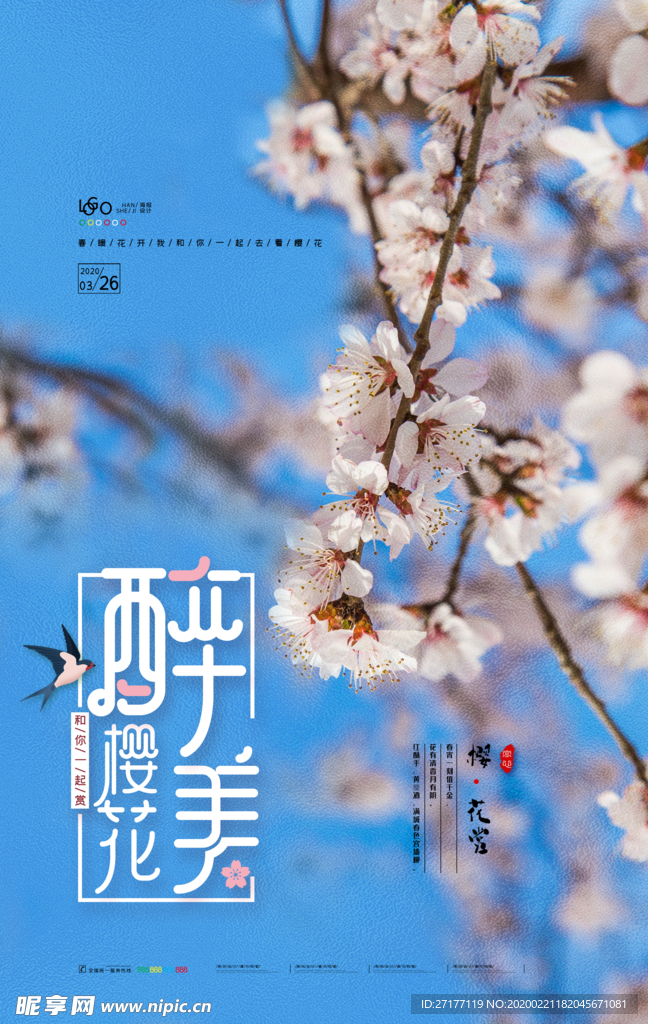 最美樱花