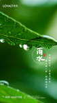 雨水