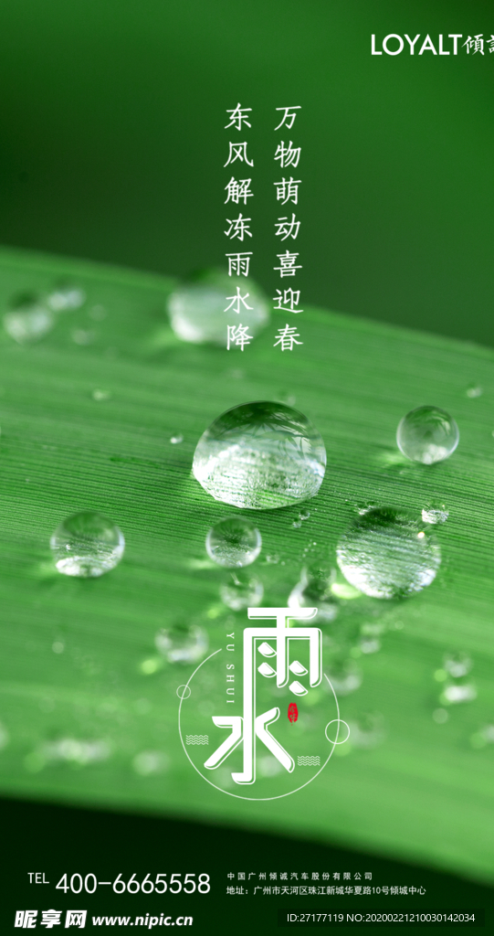 雨水