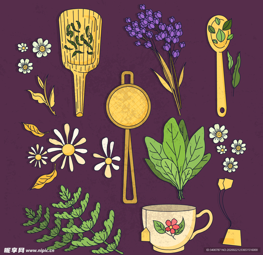 花卉 叶子 枝叶 紫色 绿色