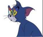 猫和老鼠