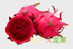 火龙果
