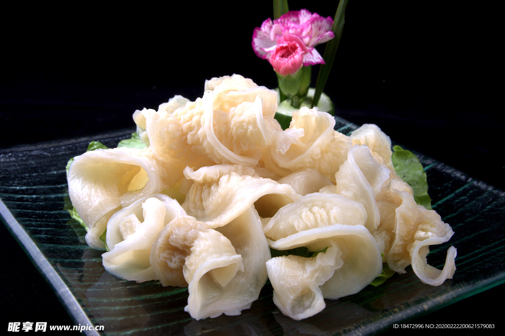 鲨鱼肠