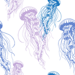 海鲜水彩插画图案