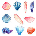 海鲜水彩插画图案