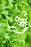 春天唯美背景