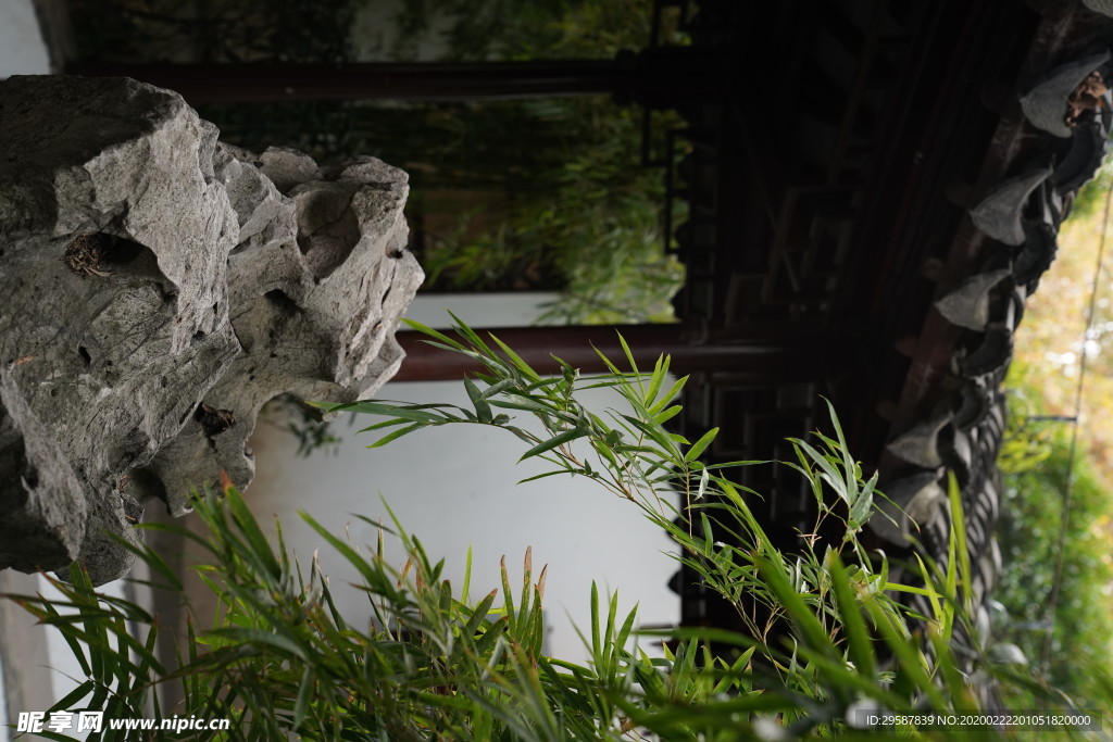 院中一景