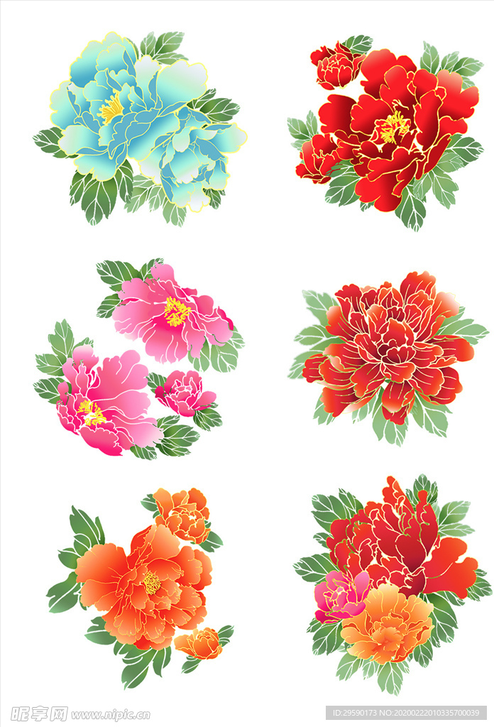 牡丹花素材