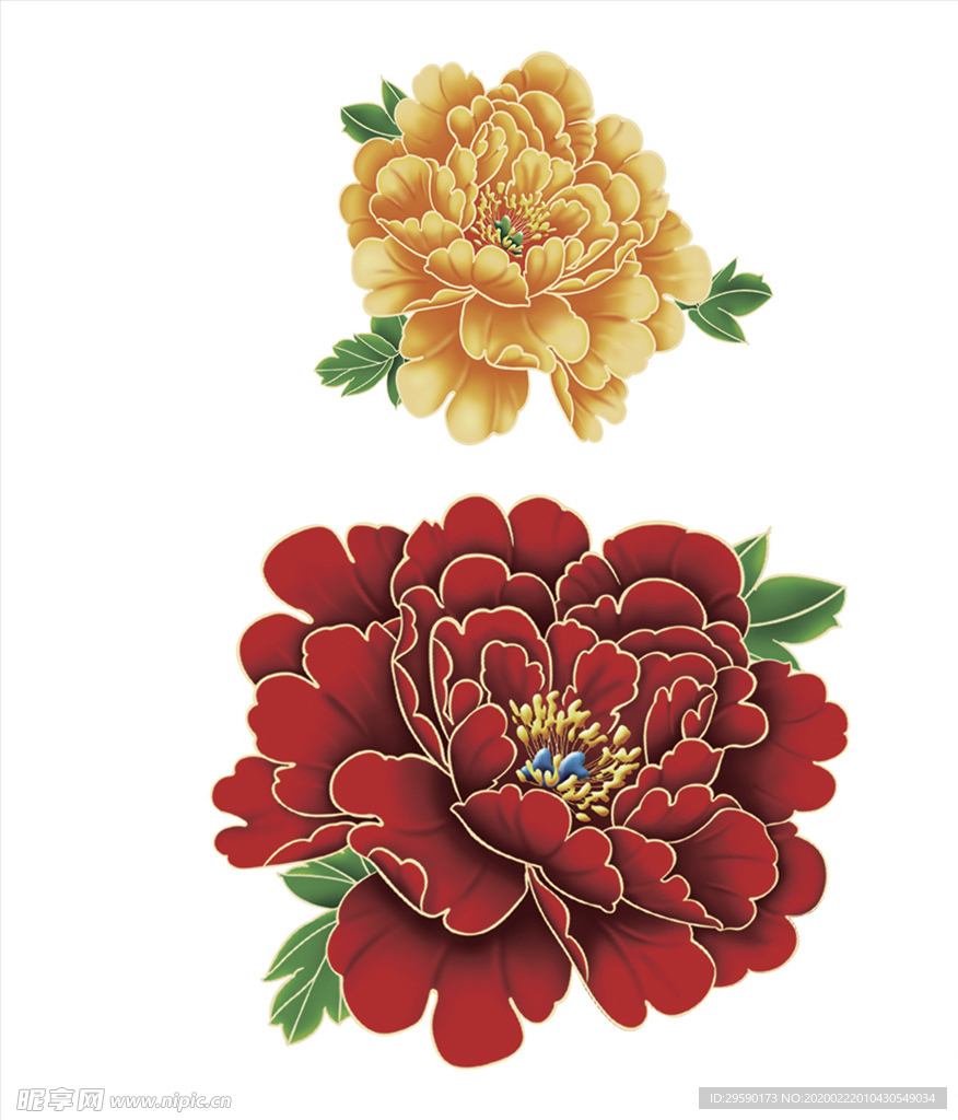 牡丹花