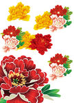 牡丹花