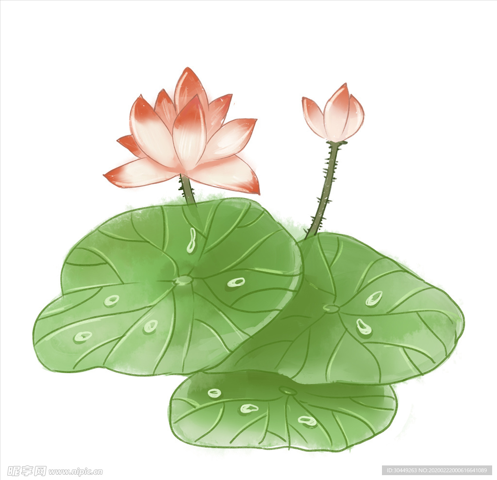 水墨荷花