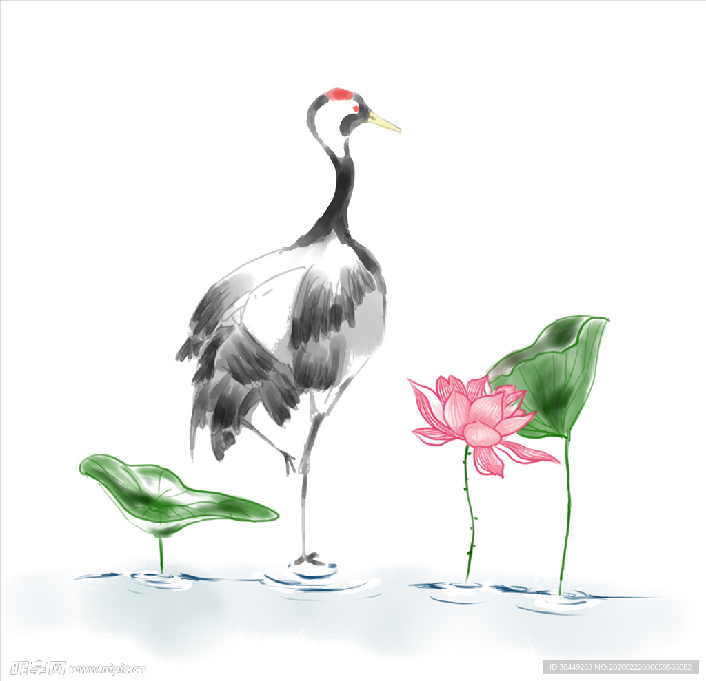 仙鹤荷花