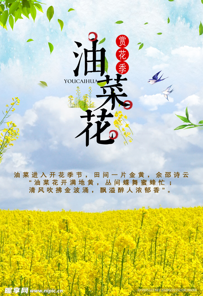 油菜花节 春季旅游 旅游海报