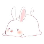 白色小兔子