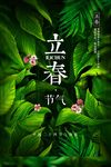 立春节气海报