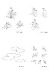 线描花朵